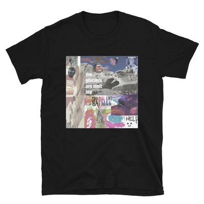 The Glaciers Are Melting Tee